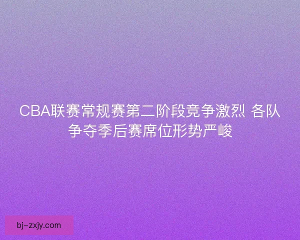 CBA联赛常规赛第二阶段竞争激烈 各队争夺季后赛席位形势严峻