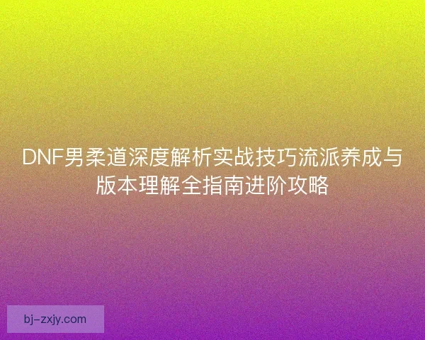 DNF男柔道深度解析实战技巧流派养成与版本理解全指南进阶攻略